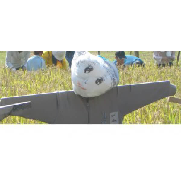 中本 武志准教授