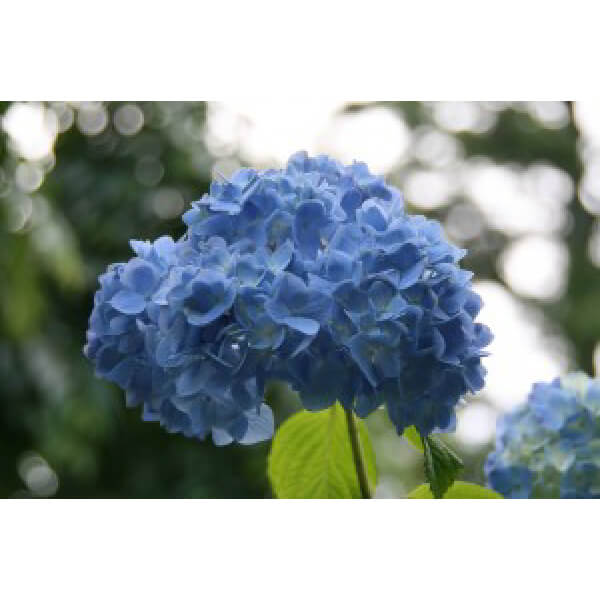 佐藤 雪野准教授