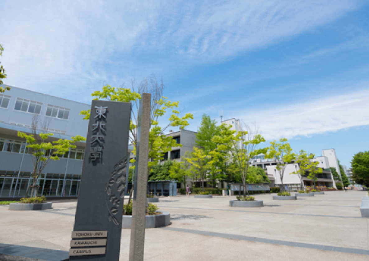 国際文化研究科教員一覧